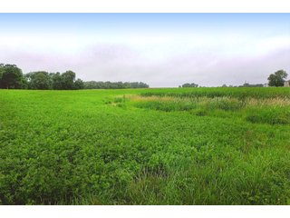 Property photo 7 - LAND AUCTION - 308+/- ACRES IN 7 TRACTS IN CARROLL & WHITE COUNTY, INDIANA